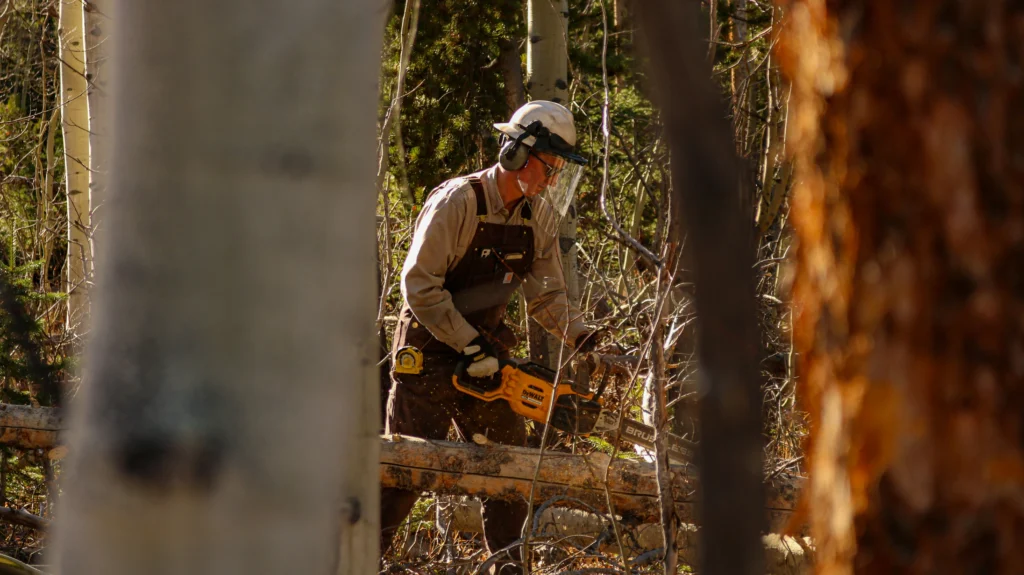 Tree Cutting Service in Malaysia: Why Professionals Matter 5 ecotrim's tree cutting professionals in Malaysia