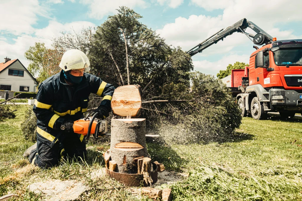 Tree Trimming Malaysia: Why Regular Pruning Saves You Money 5 Common Tree Problems in Malaysia, Equipment and Techniques, Tree Removal & Safety