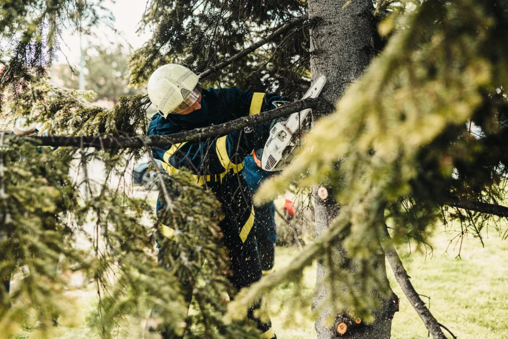 Tree Trimming Malaysia: DIY Tips to Keep Your Trees Healthy 4 A firefighter cutting a tree branch