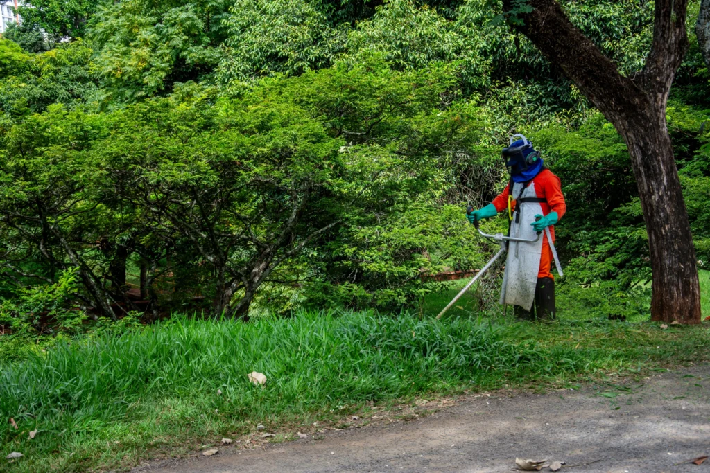 Tree Removal vs. Tree Trimming vs. Tree Pruning: What's the Difference? 5 Person mowing grass