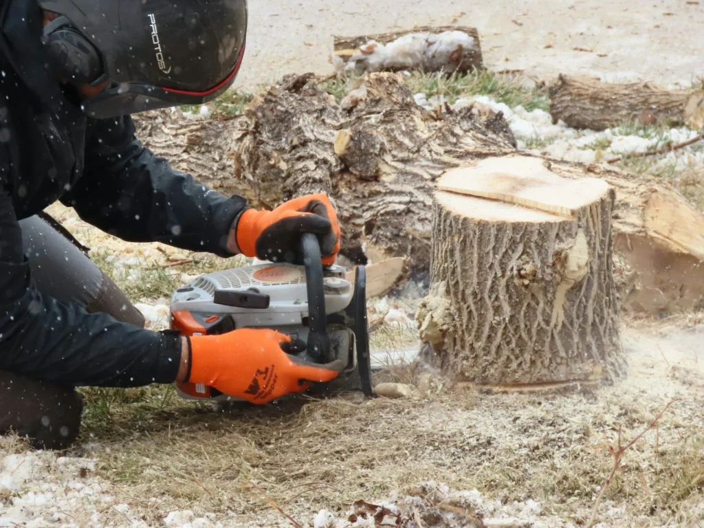 Tree Cutting Service in Kuala Lumpur: 2025 Homeowner Guide 6 tree cutting service malaysia